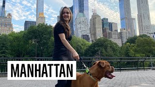 Bolsa Goyard + Central Park com o Siren + adiei o LSAT | VLOG ♡ Roberta Frossard