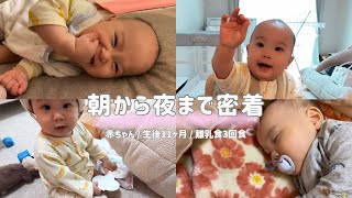 【生後11ヶ月】1日のタイムスケジュール⏰育児の理想と現実…🥲