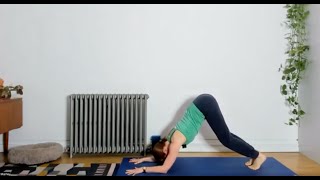 Hatha yoga for dolphin pose | Ardha pincha mayurasana | shoulder prep for dolphin pose