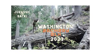 Archery Bull Elk Hunt | Central WA State | 2023