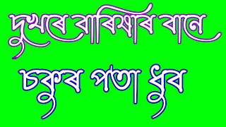 Dukhore Barikhar bane Sokur Assamese Green Video | Assamese Lyrics Video |