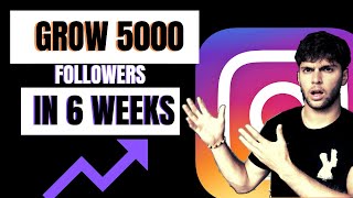 HOW I GREW 5,000 INSTAGRAM FOLLOWERS in under 5 WEEKS! (step by step)