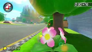 MK8DX - DS Mario Circuit(200cc)- 1:10.661(Former World Record)