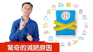 無法減肥7原因,很驚訝! 柏格醫生 Dr Berg