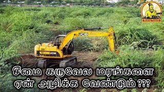 கருவேலம் மரங்களை ஏன் அழிக்கவேண்டும் | Why should we destroy Karuvelam trees