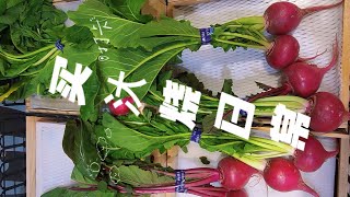 上海人日本慢生活 每天买汏烧日常记录4 看看今天买点啥？