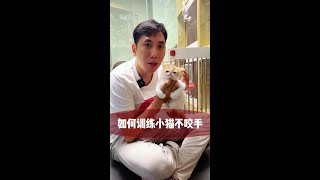 很多小猫的坏习惯都是家长自己刚才的#谁能拒绝傻憨憨的小猫咪 #这小猫谁养谁不迷糊 #一看就没什么心眼的猫猫 #被迫营业的猫猫 #科学养宠攻略