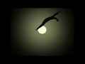 sollitude - beowulf