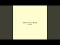 Silver Aurora Pulse