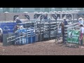 2014 RFD TV The American & Open Short Round Final Spin Coverage - Western Regionals