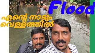 എന്റെ നാടും വെള്ളത്തിൽ |  Flood | വെള്ളത്താൽ ചുറ്റപ്പെട്ട എന്റെ നാട് | TASTY PARADISE