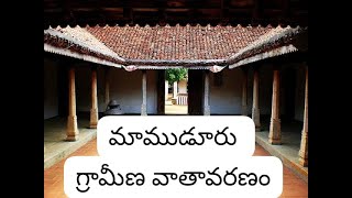 Mamuduru #westgodavari #villagelife