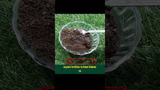 Tea Coffee Waste Fertilizer #shorts #garden