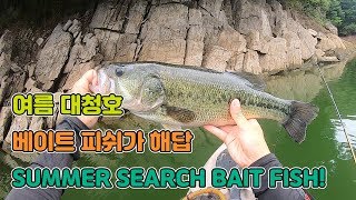 [물 아래 사기꾼] #EP.6 대청호 배스낚시 베이트피쉬가 있는 곳엔 배스가 있다 / KAYAK BASS FISHING