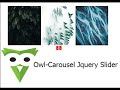 How to make a slider with Owl-Carousel || Owl-Carousel jQuery Slider