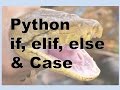 140-Python - if, elif, else & CASE?