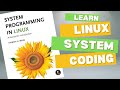 System Programming in Linux - Book review