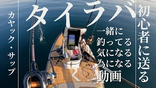 カヤック、サップのタイラバ初心者必見！ラインは細い方が良い？根掛かりの秘密？