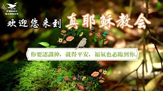 【敬虔之真理】（三）大哉！敬虔的奧秘 被傳於外邦～林章偉 傳道