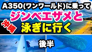 大阪伊丹空港から飛行機で沖縄に。ジンベエザメが読谷村の沖にいるというのでダイビングで見てきました。後半です。