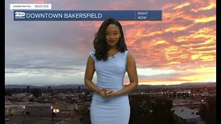 Rosaura Simone Weather Reel Feb. 2022