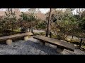 kyoto tenryu ji 京都 天龍寺 曹源池庭園、竹林、望京の丘編