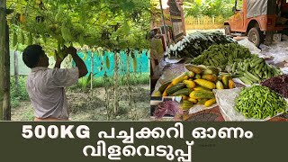 ഓണം വിളവെടുപ്പ് 60 centൽ നിന്ന് 500kg പച്ചക്കറി കൃഷിഭവനിൽ നൽകിയപ്പോൾ |Onam farm harvest kerala