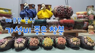 3월7일 토끼네화분  #가성비 짱 창분왔어요      예쁜사각분도 보세요~~ 5만이상 택비무료