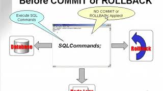 learning oracle application developer 142