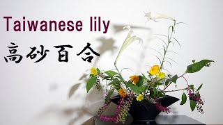 【生け花】タカサゴユリのお喋り【ikebana】キバナコスモス/ヨウシュヤマゴボウ/Lilies facing each other/Pokeweed/Taiwanese lily/台灣百合/Lis