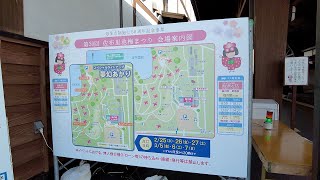 【開催】佐布里池梅まつり(知多市) 2021-02