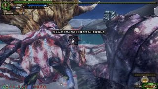 【MHF-Z】辿異種ダイミョウザザミ★4　穿龍棍ソロ