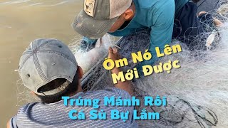 Nghề Tay Trái Của Anh Em Ngâm LƯới Cá Sủ Kiếm Tiền Triệu | Cù Lao Dung Vlogs #742