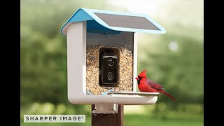 Video Camera Bird Feeder by Sharper Image