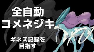 【コメネジキ】視聴者のコメント操作で金ネジキの連勝ギネス記録チャレンジ【ポケットモンスタープラチナ】