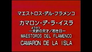 カマロン・デ・ラ・イスラ（Camarón de la Isla：1950.12.5～1992.6.2）　①夭折の天才　若き日／ギター：パコ・セペーロ（Paco Cepero）