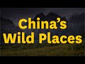 Kyle Obermann Talks About His Work Documenting China's Wild Life