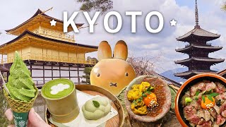 Japan Diaries 🌸 | Kyoto vlog, Wagyu Volcano, Arashiyama, Gion, Temples \u0026 a lot of eating