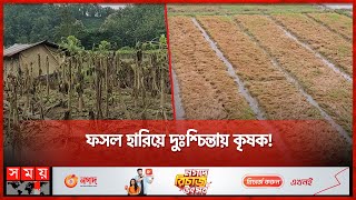 বান্দরবানে বন্যায় ক্ষতিগ্রস্ত হাজার হাজার একর ফসলি জমি | Bandarban Flood News | Somoy TV