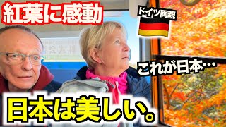 【長年の夢】母国にはない絶景にドイツ人両親が大感動..!!初めての日本の紅葉に言葉を失いました...