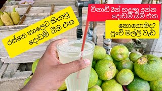 street orange juice#srilanka# child busnessman#summer drink