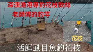 （第19集）東北角深澳漁港釣花枝軟絲釣場老師傅專釣花枝#臺灣釣魚