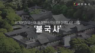 신라시대 미적 완성도가 가장 뛰어난 사찰 ‘불국사’ [지식의 창]