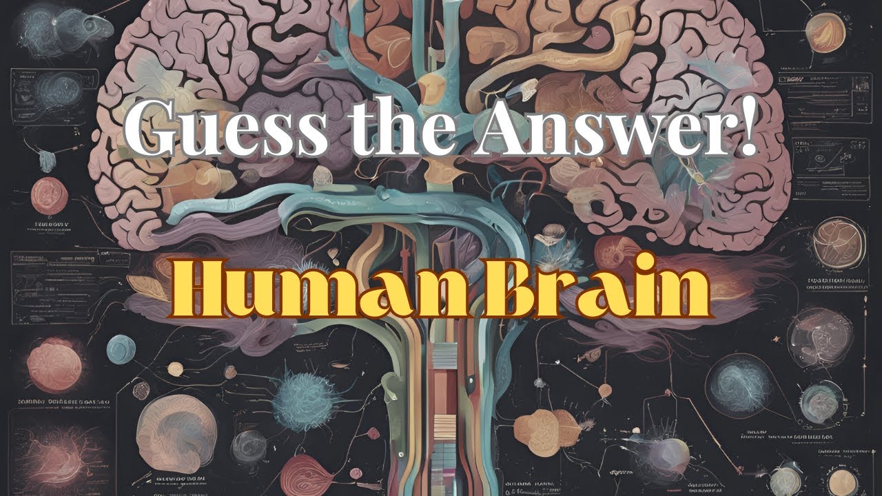 Guess The Answers Do You Know Your Brain Youtube