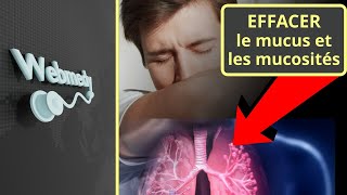 Glaires et mucus : causes et astuces pour éliminer les glaires et le mucus des poumons