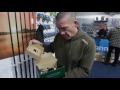 shimano ultegra 5500 xtd iain macmillan fr milton keynes grand opening fishing republic