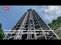 chongqing s goddess ladder takes tourists on thrilling climb