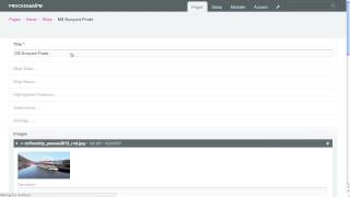 ProcessWire ProFields: Textareas Fieldtype