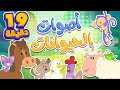 أغنية اصوات الحيوانات ومجموعة الأغاني المرحة  | قناة مرح كي جي - Marah KG