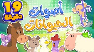 أغنية اصوات الحيوانات ومجموعة الأغاني المرحة  | قناة مرح كي جي - Marah KG